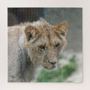 Lion 002 by JAMFoto Jigsaw Puzzle