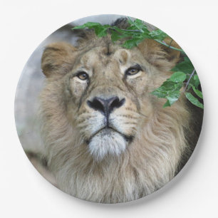 Lion 002 paper plate