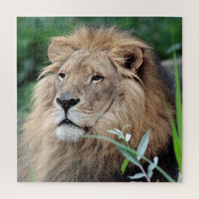 Lion 003 by JAMFoto Jigsaw Puzzle (Vertical)