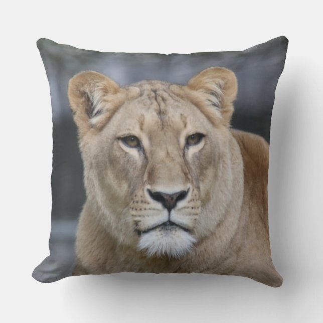 Lion 004 cushion (Front)
