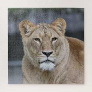 Lion 004 jigsaw puzzle