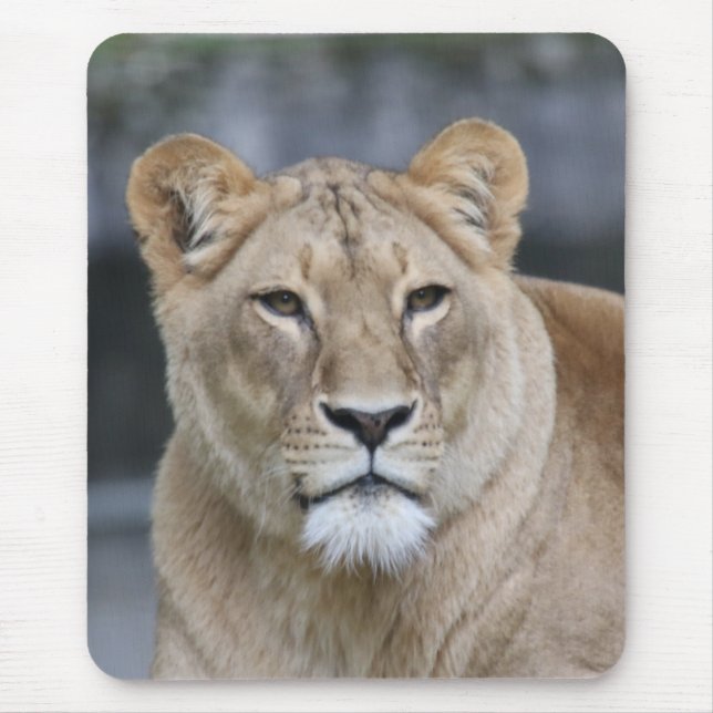 Lion 004 mouse pad (Front)