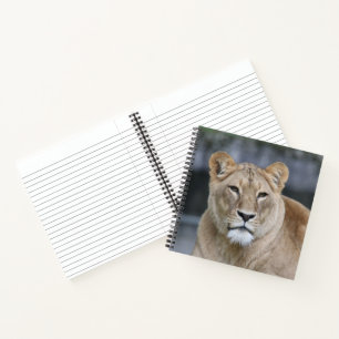 Lion 004 notebook