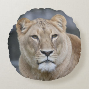 Lion 004 round cushion