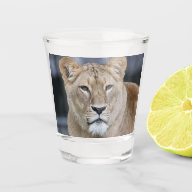 Lion 004 shot glass (Front)