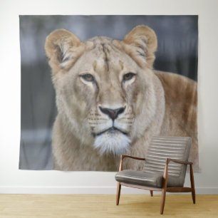 Lion 004 tapestry