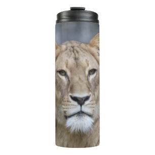 Lion 004 thermal tumbler