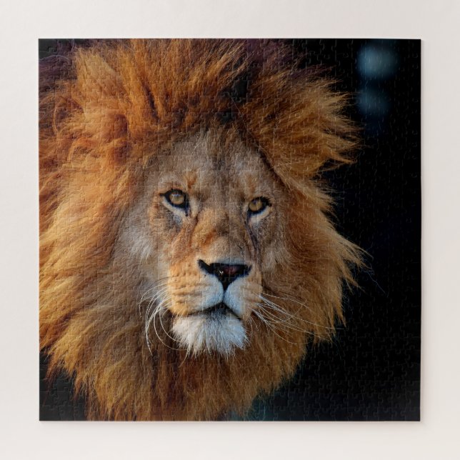 Lion 010 by JAMFoto Jigsaw Puzzle (Vertical)