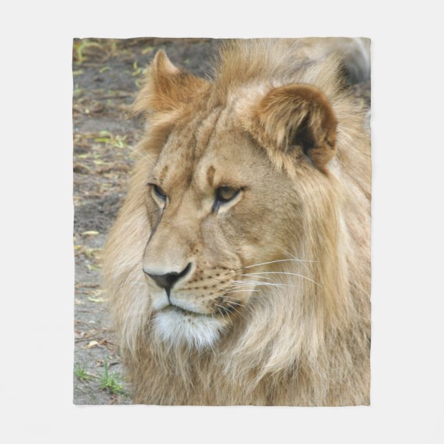 Lion 011 fleece blanket (Front)