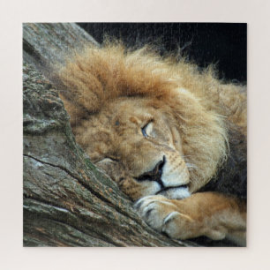 Lion 013 by JAMFoto Jigsaw Puzzle