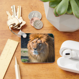 Lion 013 key ring