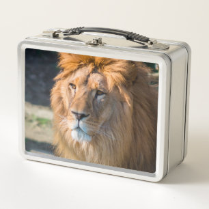 Lion 013 metal lunch box