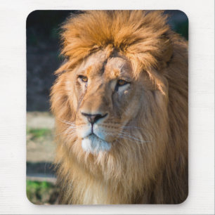 Lion 013 mouse pad