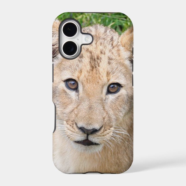 Lion 016 (Back)