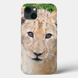 Lion 016 iPhone 13 case