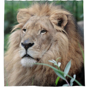 Lion 021 shower curtain