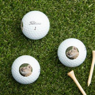 Lion 022 golf balls