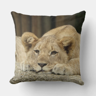 Lion 040 cushion