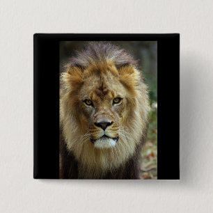 Lion 15 Cm Square Badge