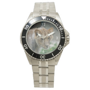 Lion_2014_1101 Watch