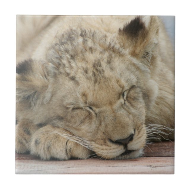 Lion_2014_1201 Tile (Front)