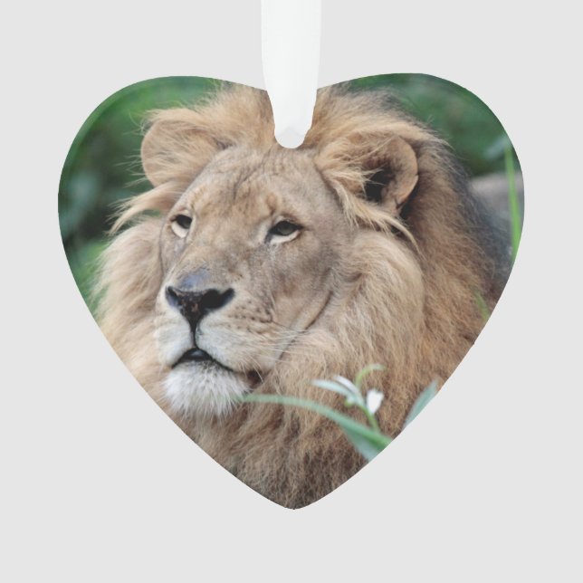 Lion_2015_0801 Ornament (Front)