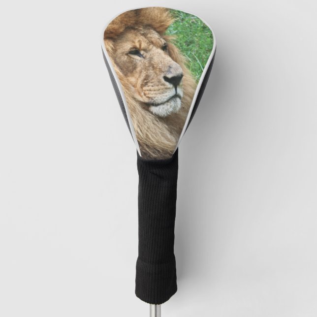 Lion_2023-04 Golf Head Cover (Front)
