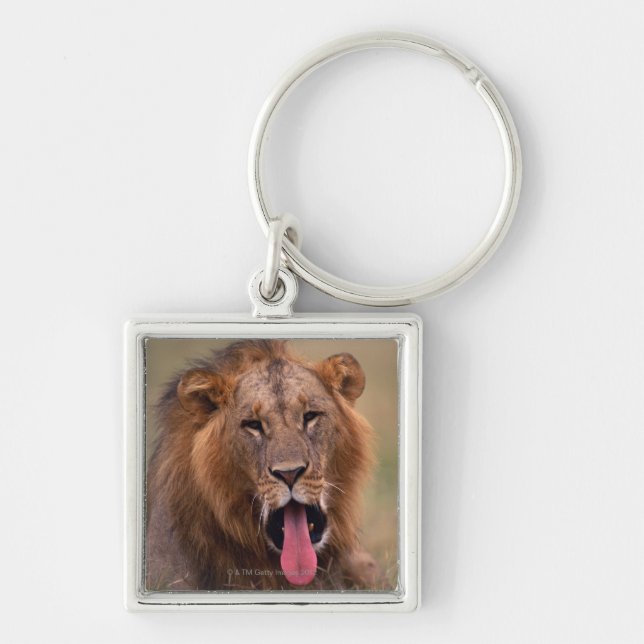 Lion 2 key ring (Front)