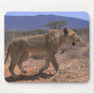 Lion 3 mouse pad