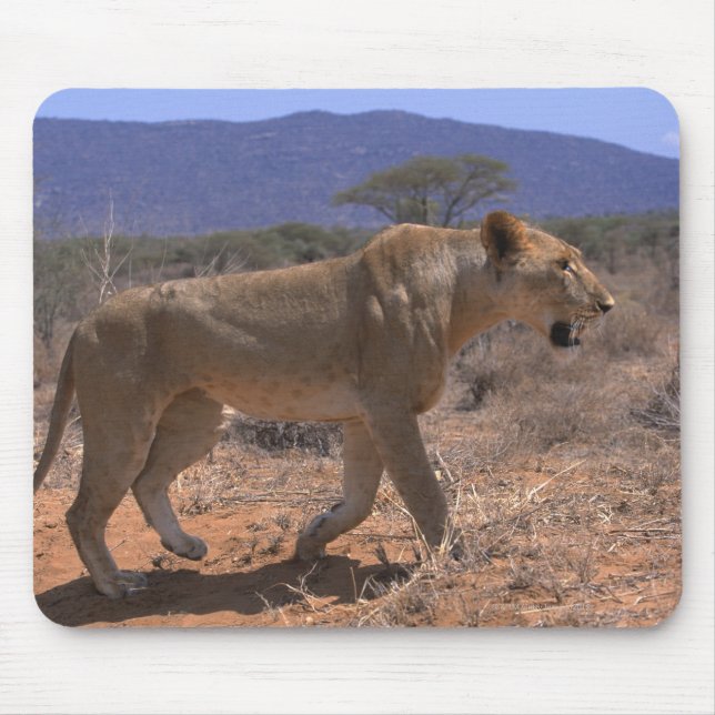 Lion 3 mouse pad (Front)