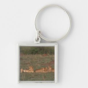 Lion 4 key ring