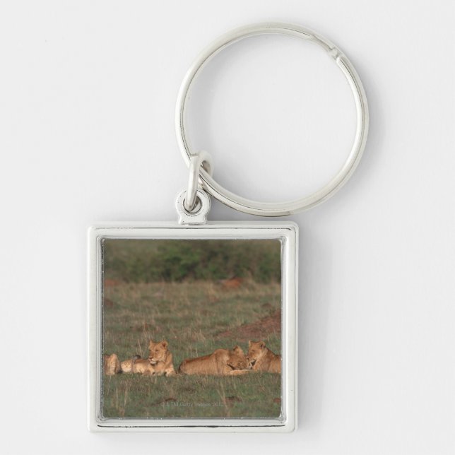 Lion 4 key ring (Front)
