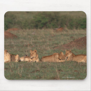 Lion 4 mouse pad