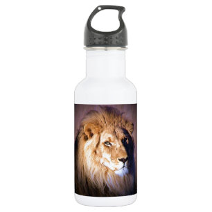 Lion 532 Ml Water Bottle
