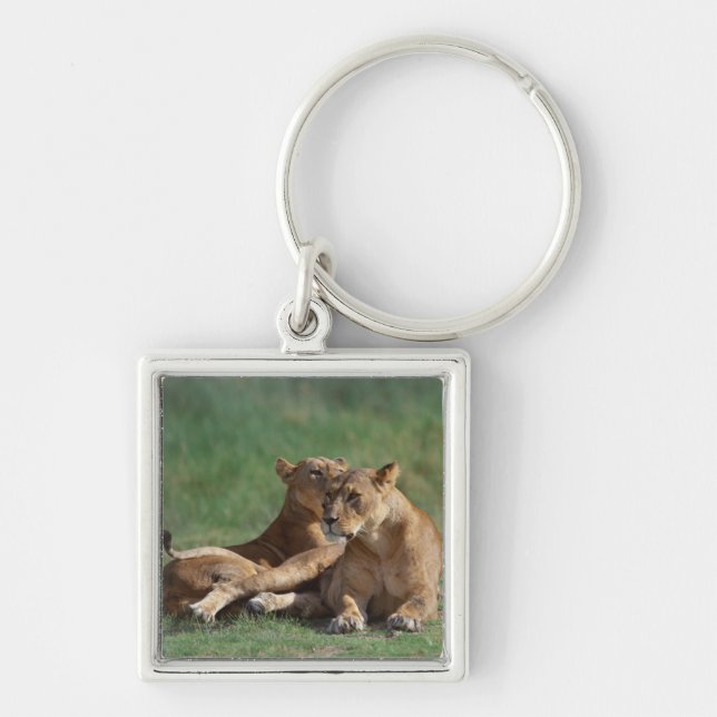 Lion 5 key ring (Front)