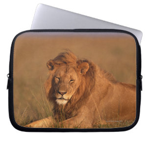 Lion 8 laptop sleeve