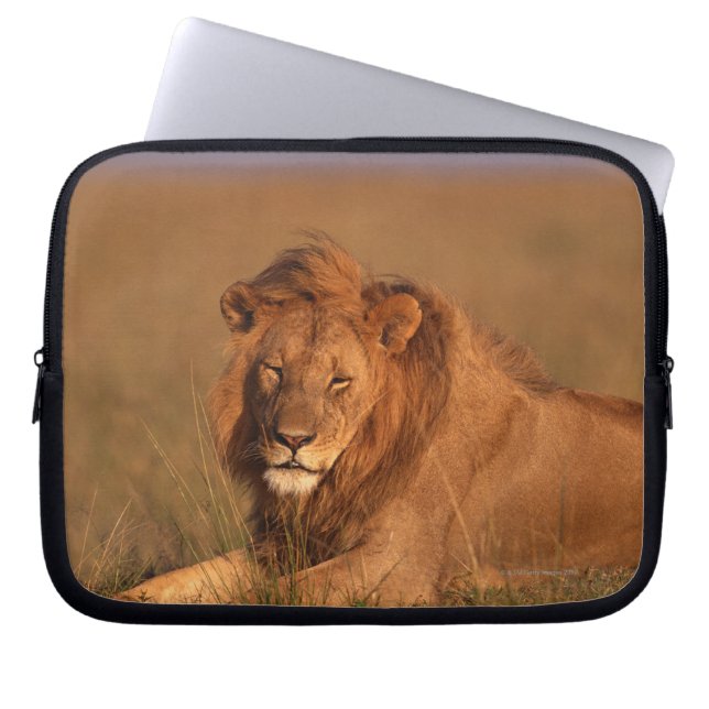 Lion 8 laptop sleeve (Front)
