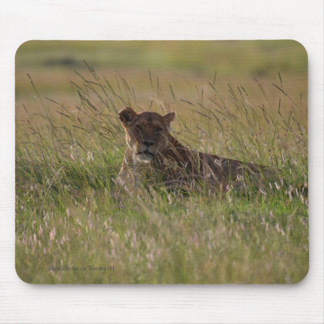 Lion Africa Savannah Mouse Pad (Front)