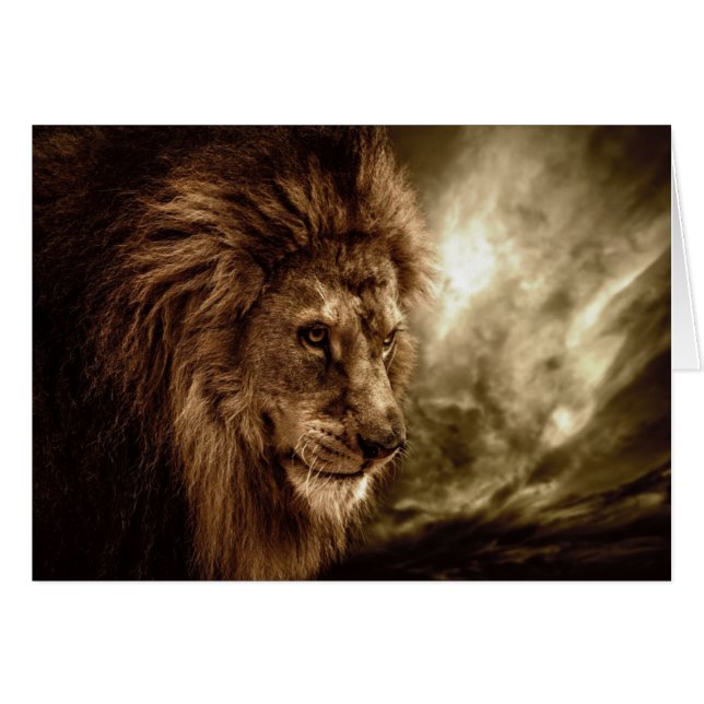 Lion against stormy sky (Front Horizontal)