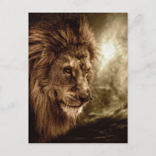 Lion against stormy sky postcard