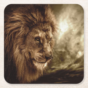 Lion against stormy sky square paper coaster