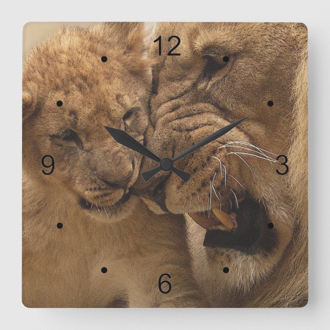 Lion And Cub Square Wall Clock (Front)