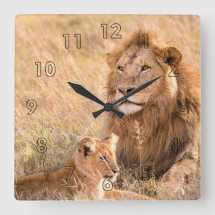 Lion and Her Cub Square Wall Clock
