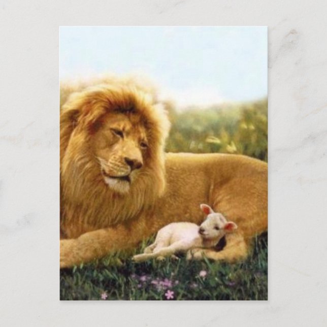 Lion and Lamb Postcard (Front)