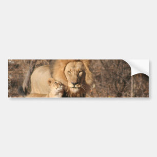 Lion and Lion Cub Bumper Sticker