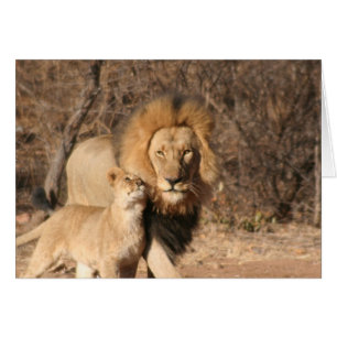 Lion and Lion Cub Card