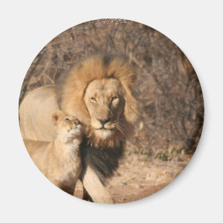 Lion and Lion Cub Magnet