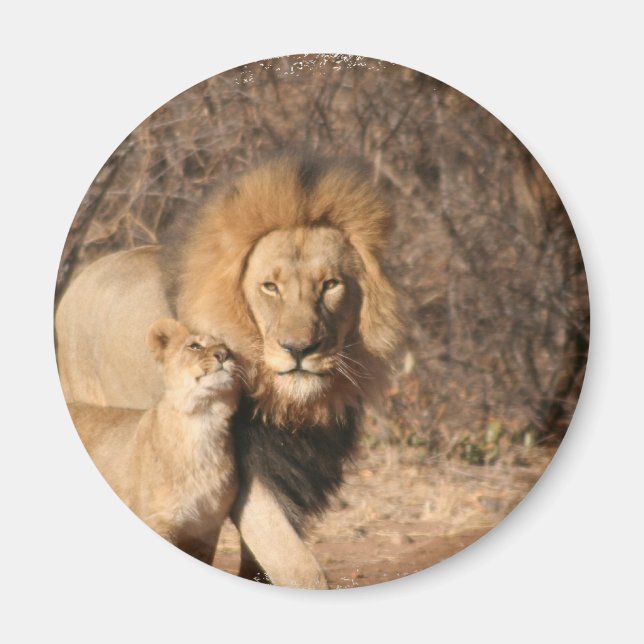 Lion and Lion Cub Magnet (Front)