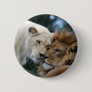 Lion and Lioness 6 Cm Round Badge