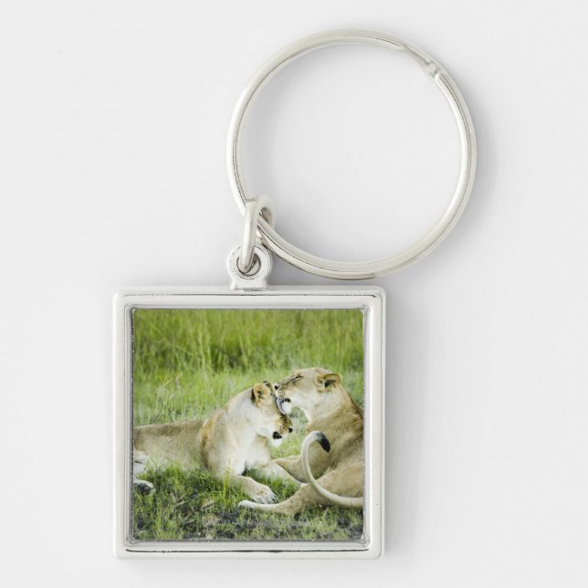 Lion and lioness, Africa 2 Key Ring (Front)